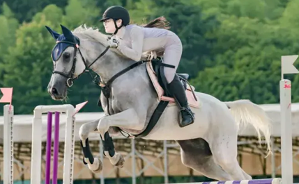 Summer camps activities Madrid